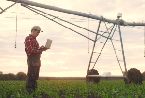 Agriculture Industry Electrical Services: Powering Modern Farm Growth